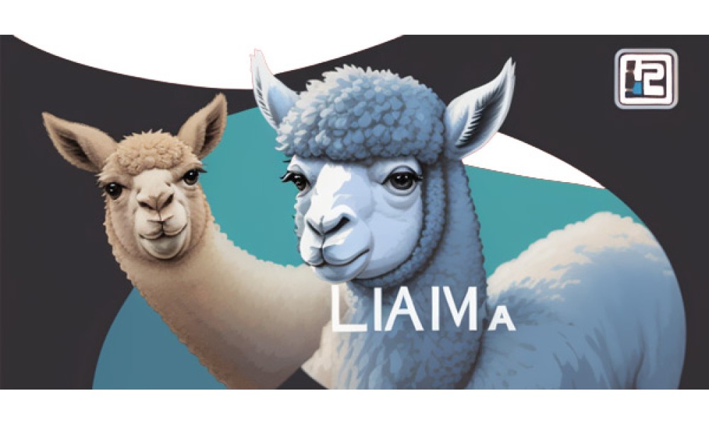 Code Llama