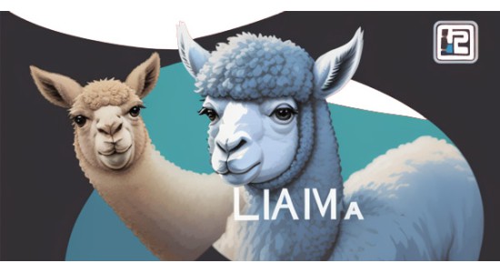 Code Llama