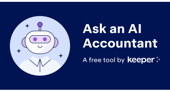 Ask an AI Accountant