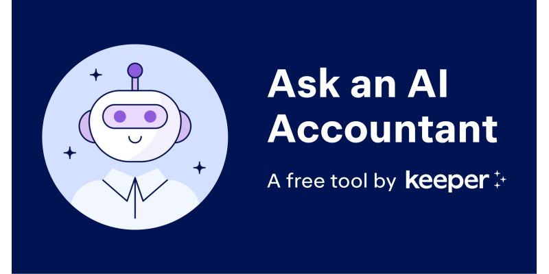 Ask an AI Accountant