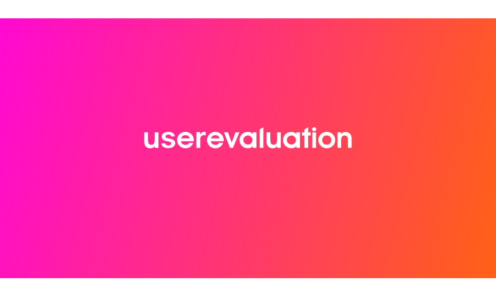 User Evaluation