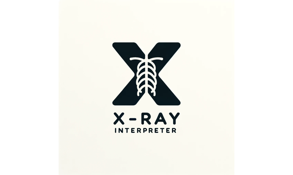 X-ray Interpreter