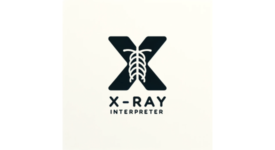 X-ray Interpreter