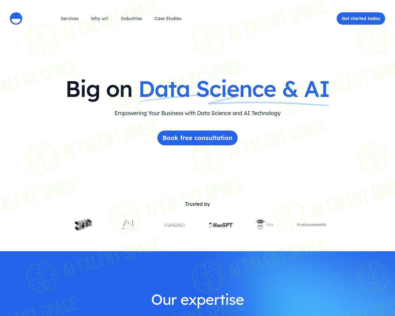 Think AI Agency - Image 3
