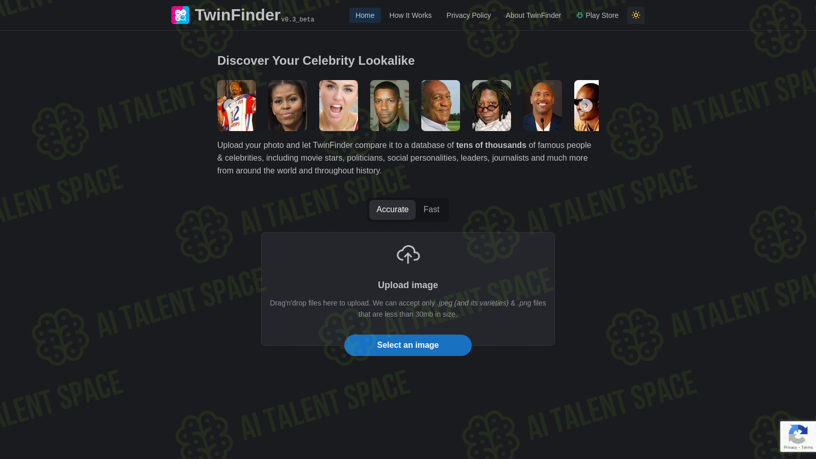 TwinFinder - Image 1