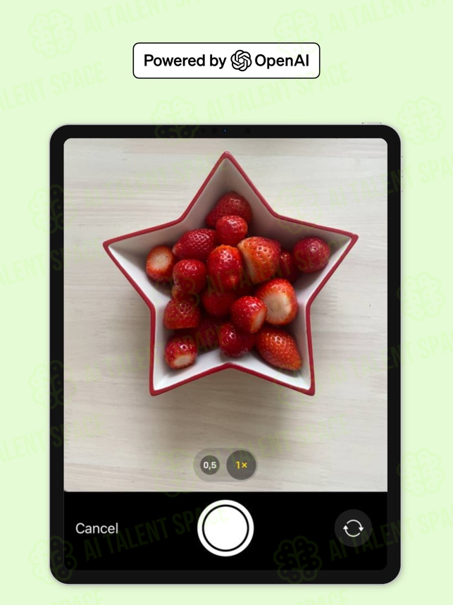 Food Shell AI - Image 2