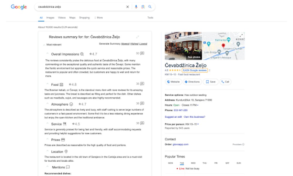 AI-Powered Google Reviews Summarizer