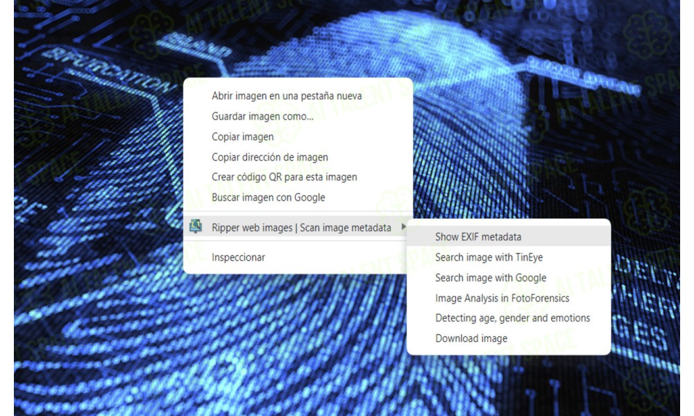 Ripper Web Content - Image 3