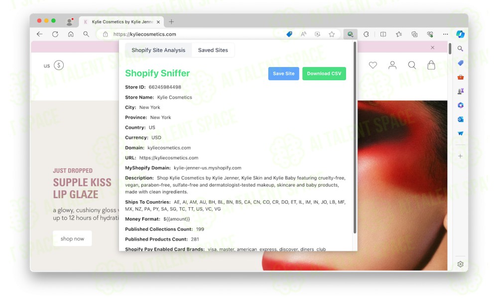 Shopify AI Assistant - Image 3