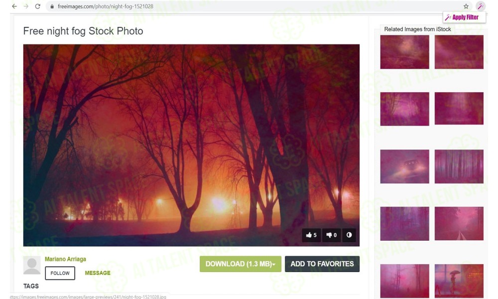 Image Skin Filter - Image 3