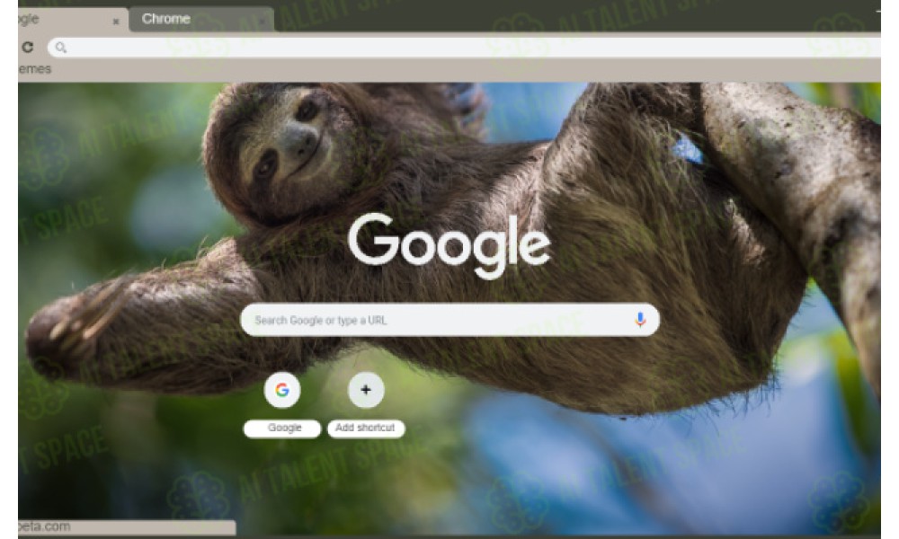 Sloth Search - Image 1