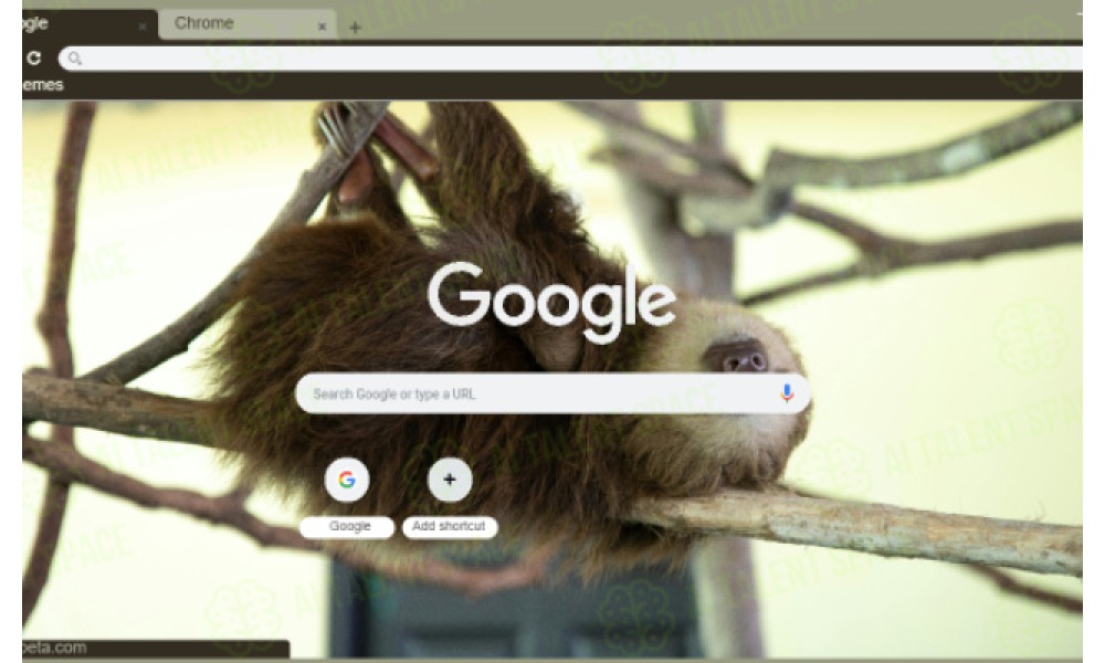 Sloth Search - Image 5