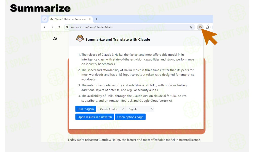 Anthropic Web Summarizer - Image 2
