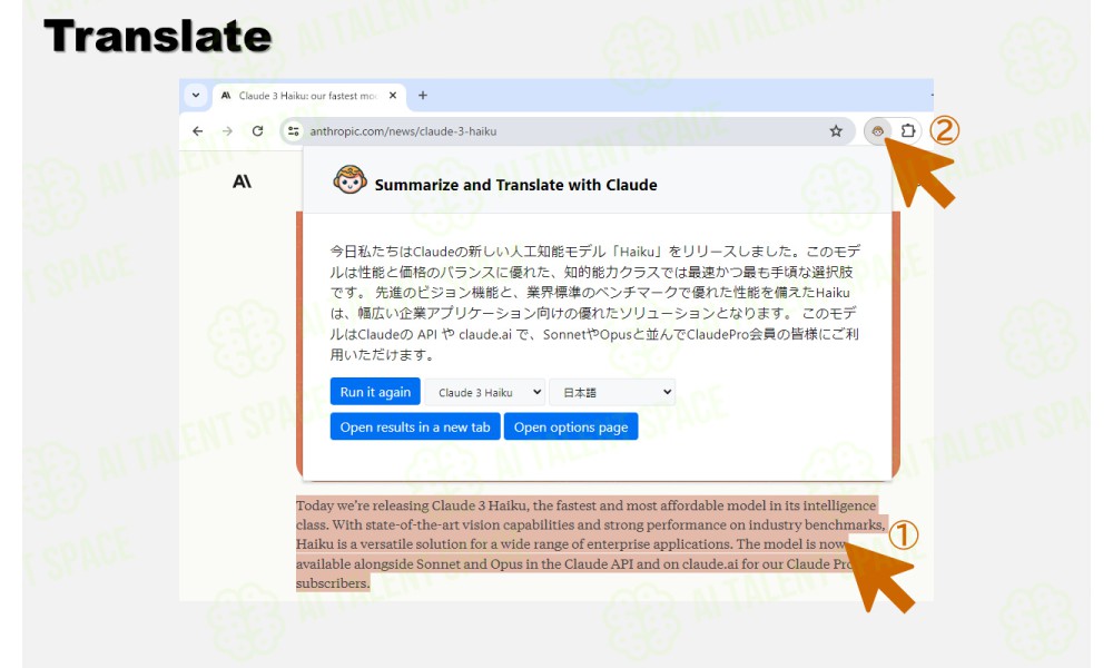 Anthropic Web Summarizer - Image 4