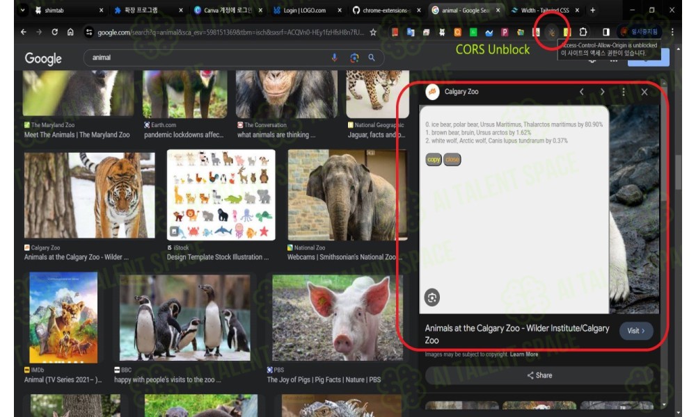 TensorFlow Image Classification - Image 2