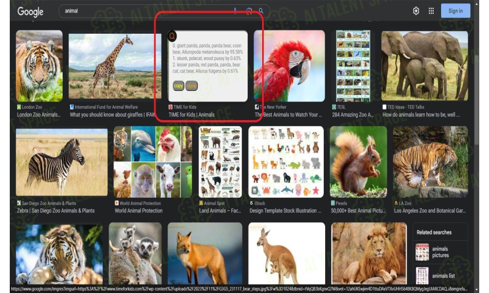 TensorFlow Image Classification - Image 3