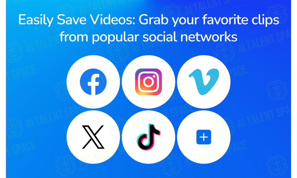 Topview Video Downloader - Image 2