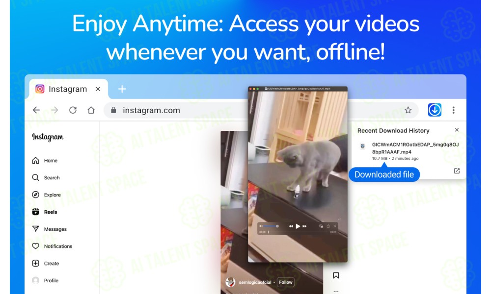 Topview Video Downloader - Image 3