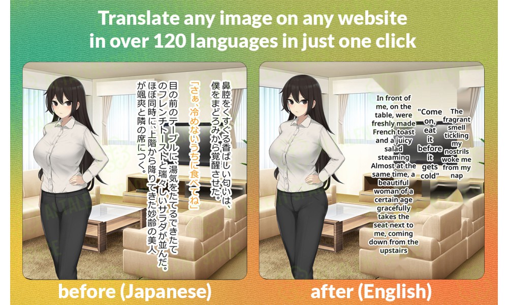 Torii Image Translator - Image 1