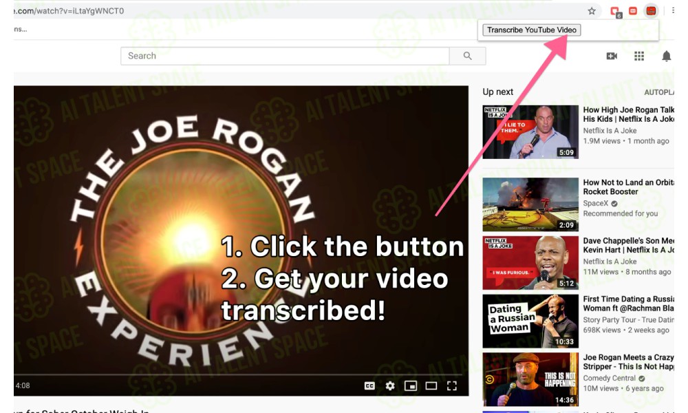 YT Scribe - Image 1