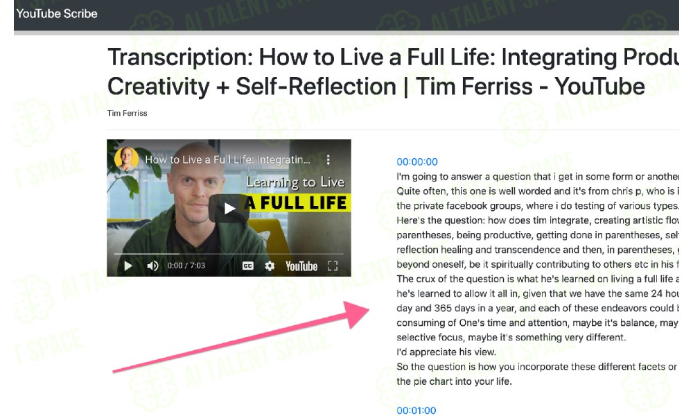 YT Scribe - Image 2