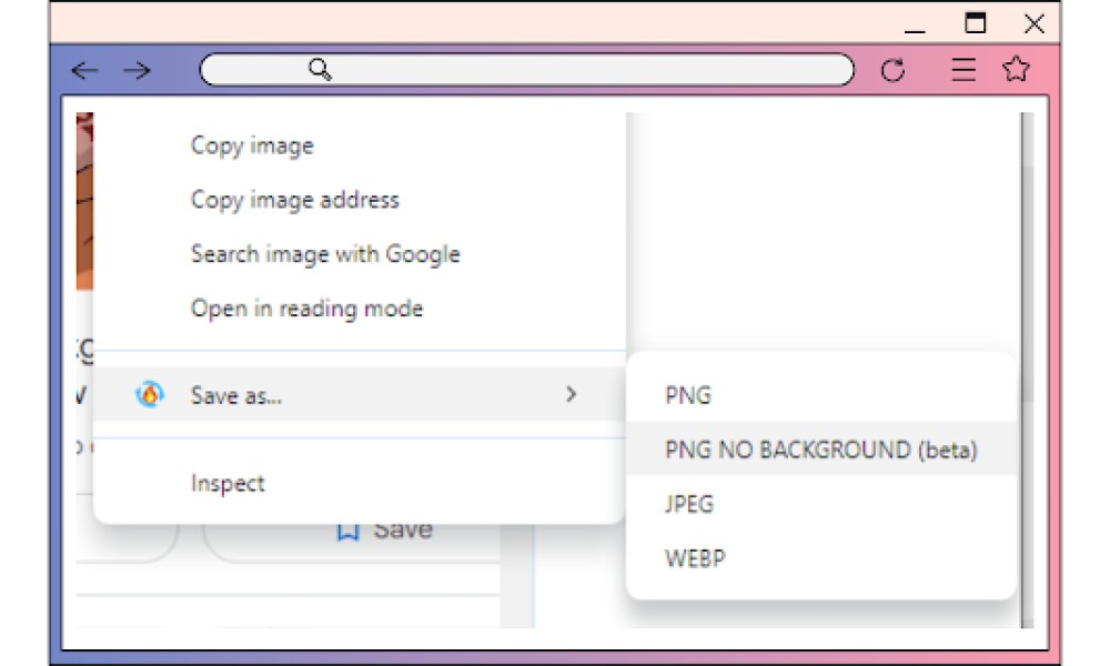 Image Background Remover & Format Converter