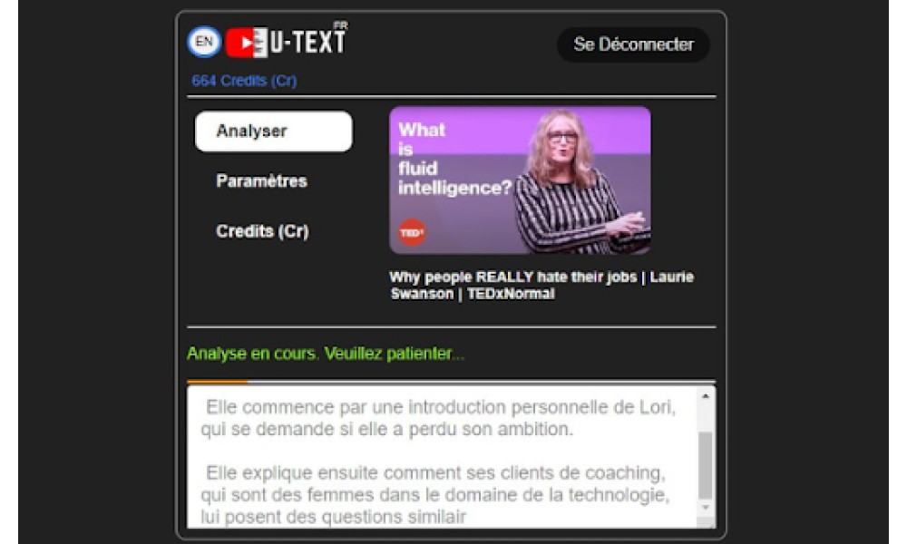 YouTube Video Summarizer Extension