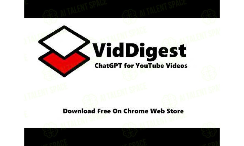 VidDigest - Image 1