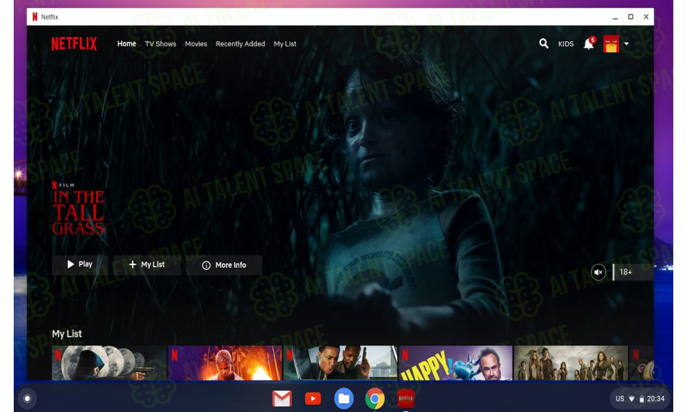 Voice Control for Netflix - Image 2