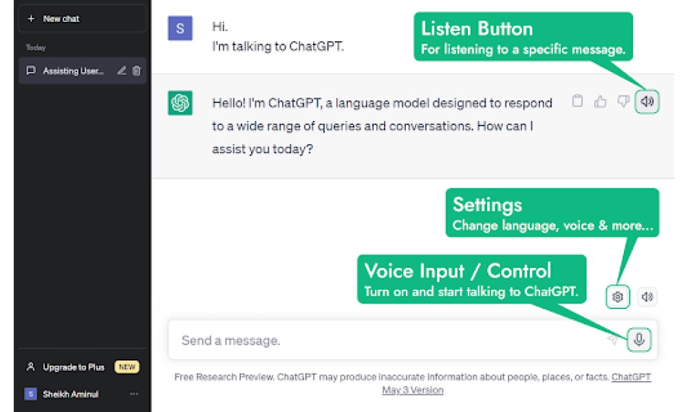 ChatGPT Voice Extension