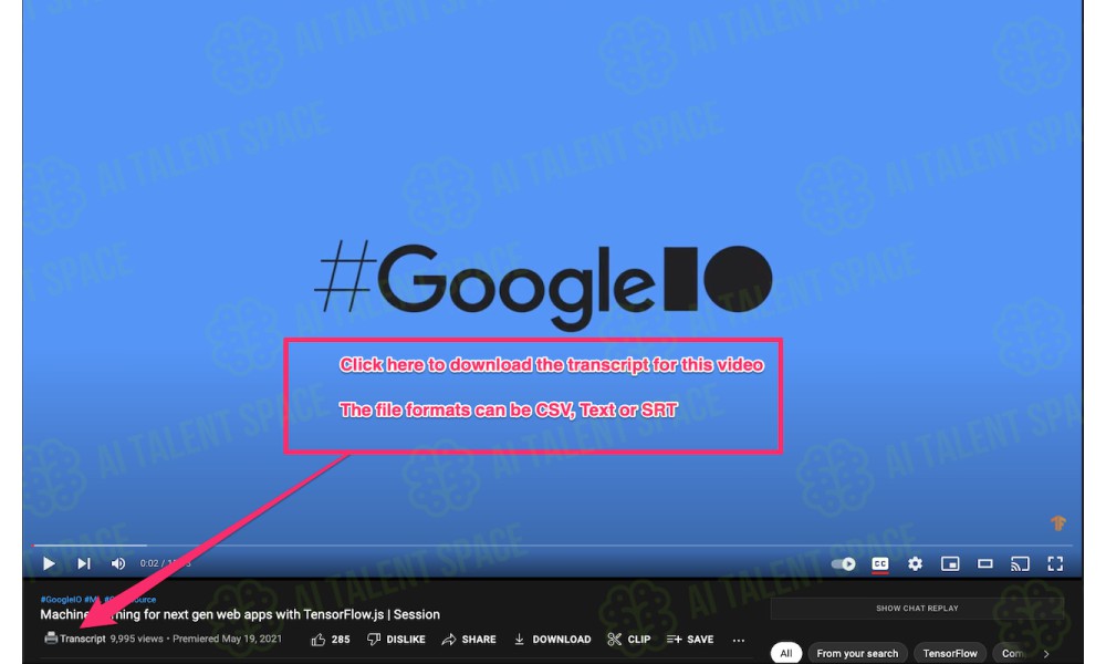 YouTube Transcription - Image 3