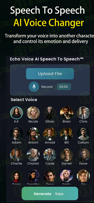 Echo Voice AI - Image 3