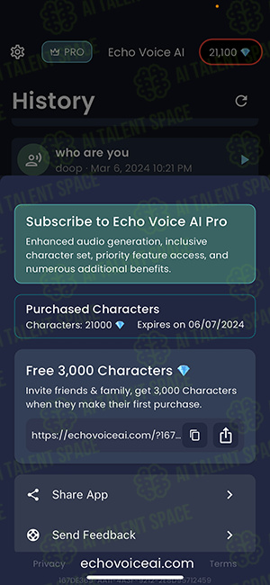 Echo Voice AI - Image 5