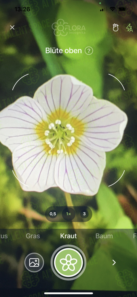 Flora Incognita - Image 1