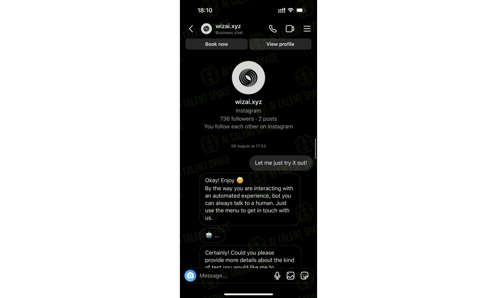 WizAI - ChatGPT for WhatsApp & Instagram - Image 3