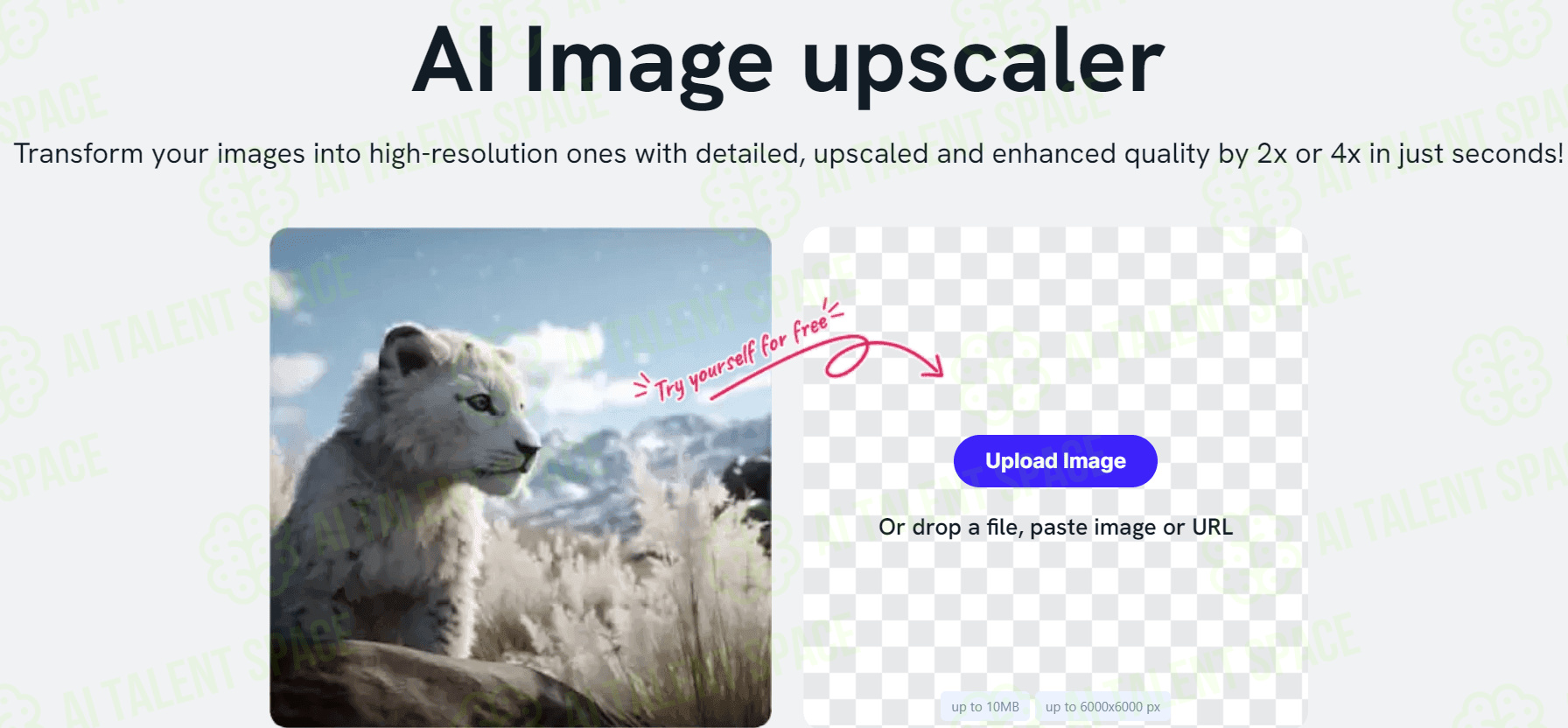Imagewith.AI - Image 1