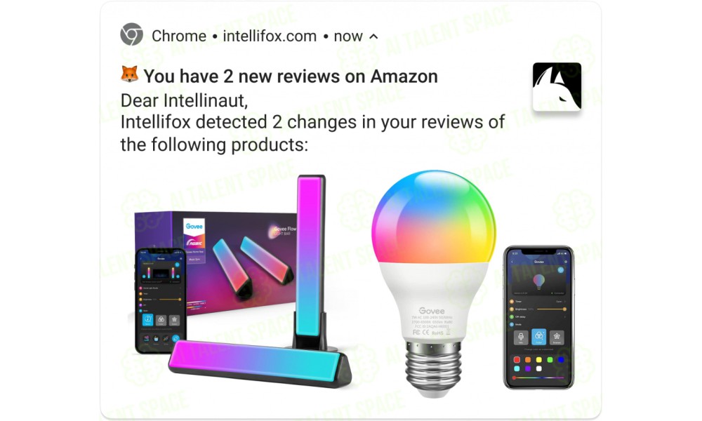 Intellifox - Image 3