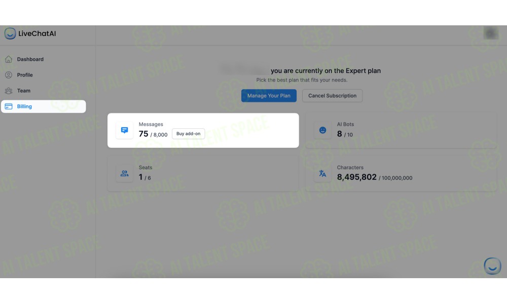 LiveChatAI - Image 3