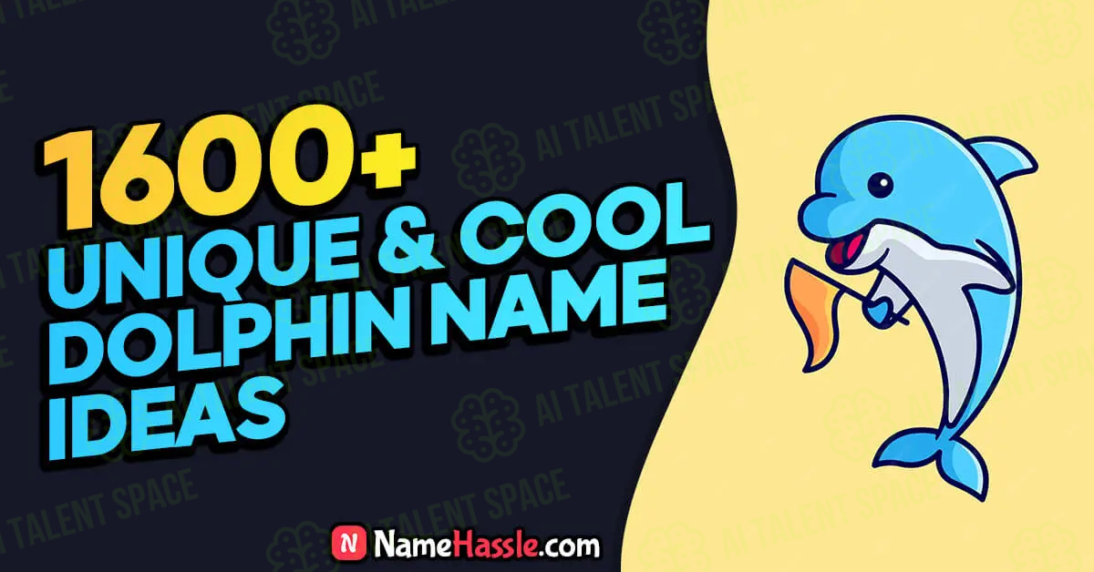 NameHassle - Image 4