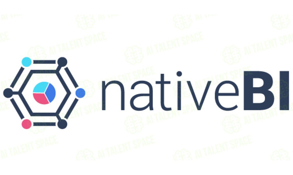 NativeBI - Image 5