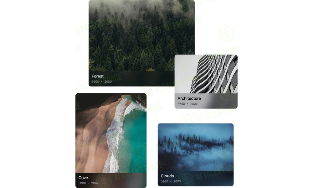Raster | Photo manager for modern teams - Image 1
