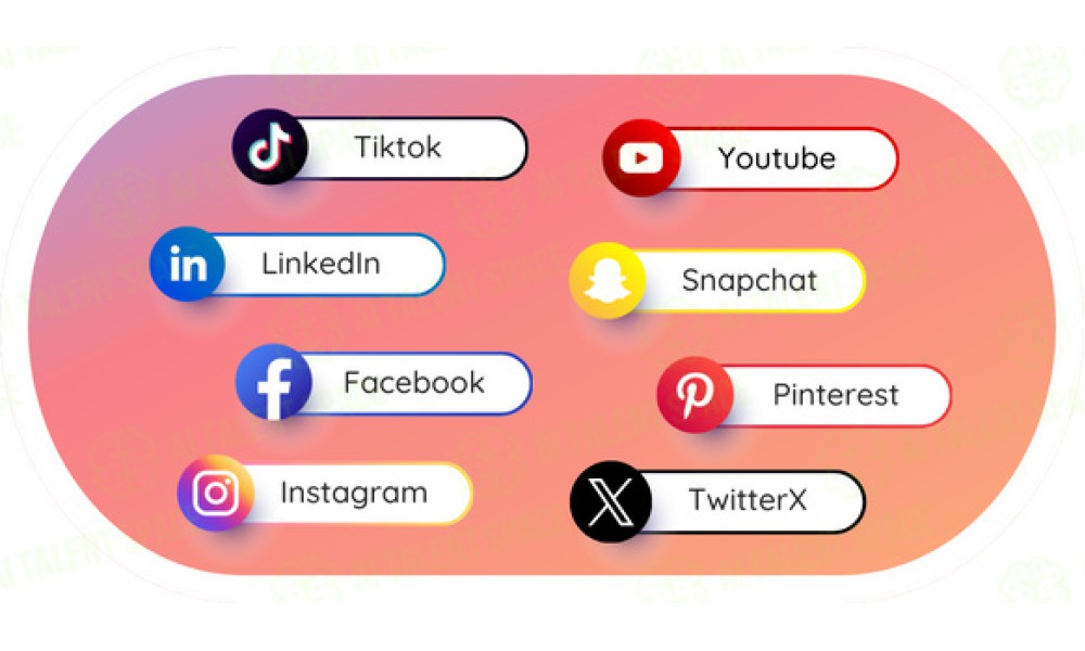 SocialDude - Image 3