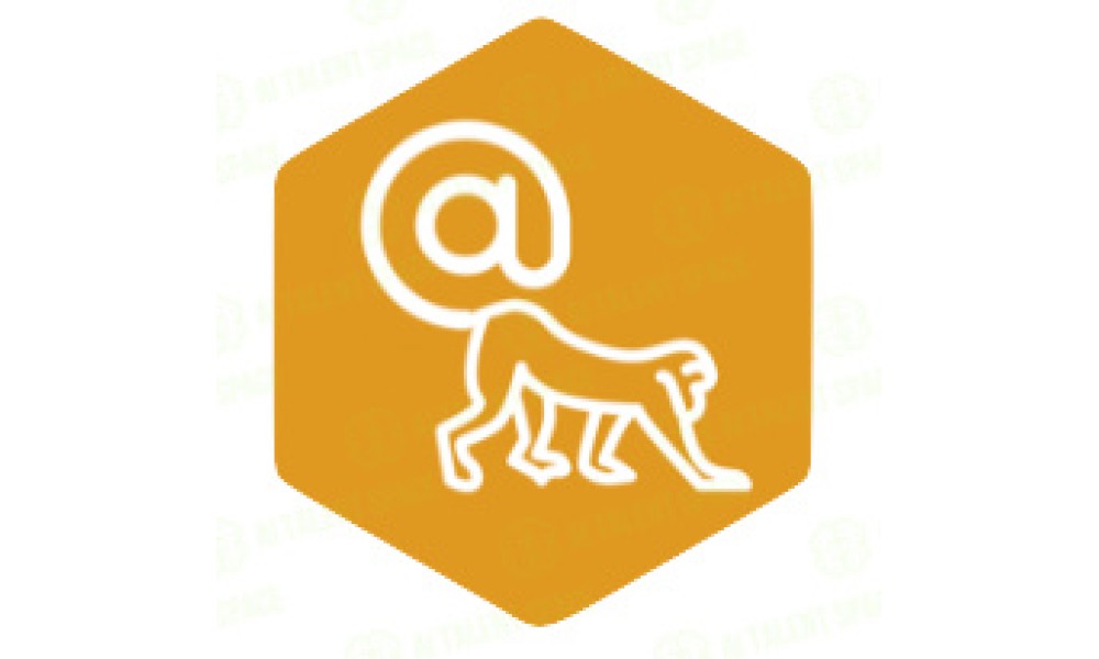 SummyMonkey - Image 4