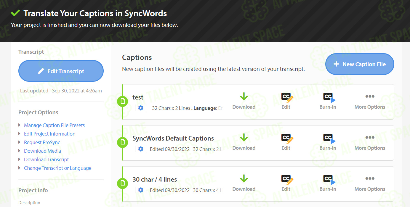 SyncWords - Image 1