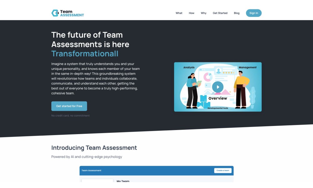 Team Assessment