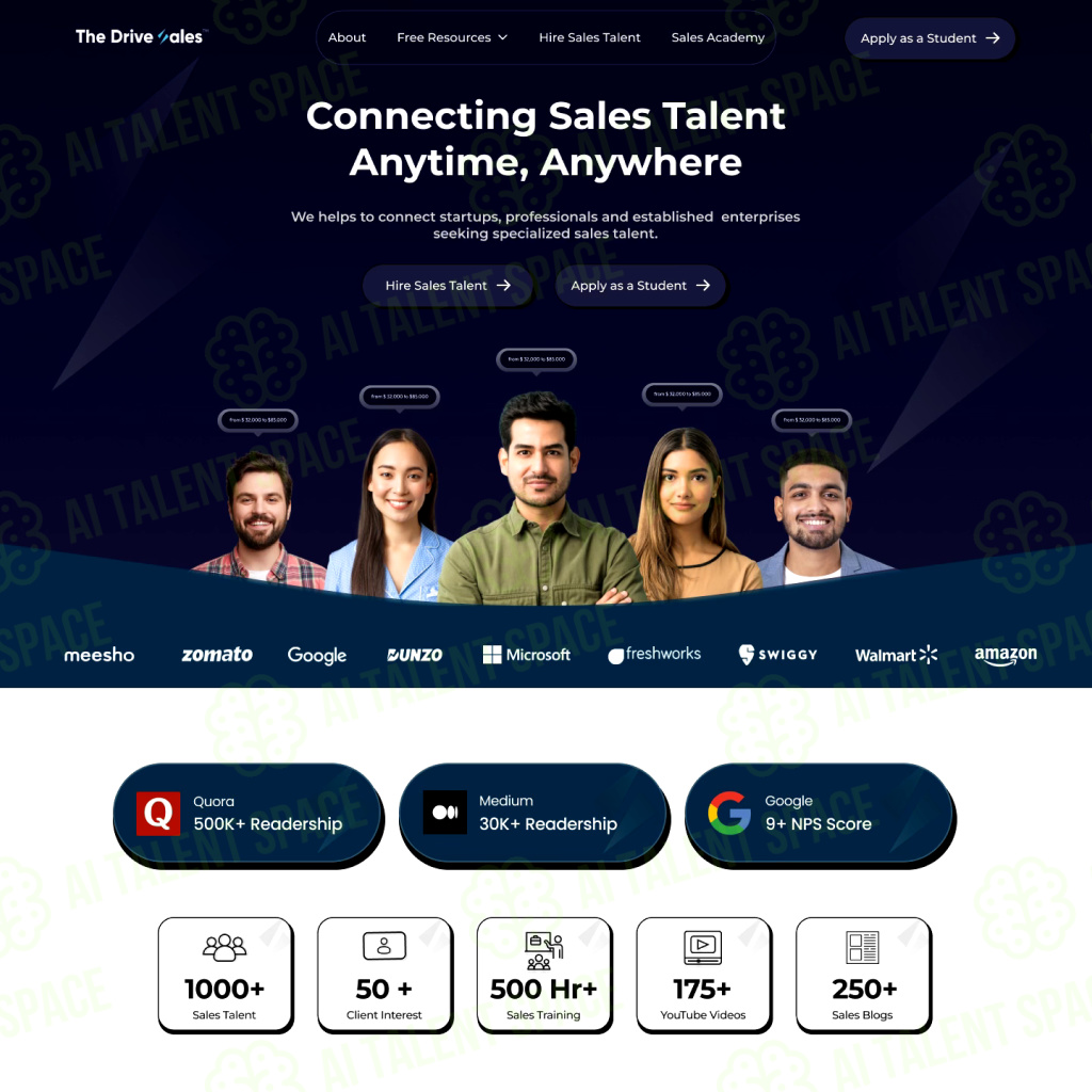 The DriveSales™ - Image 1