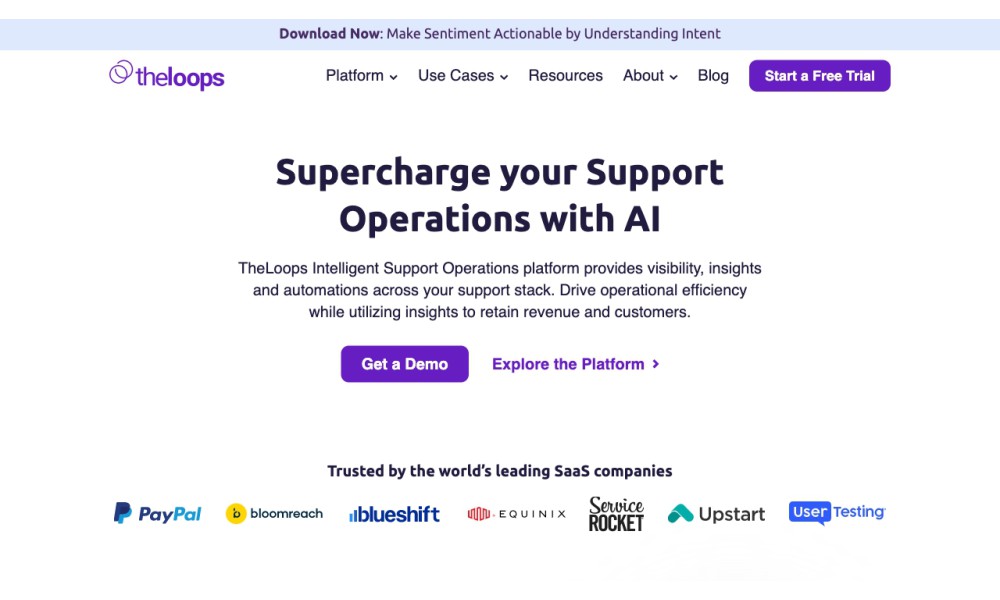 TheLoops AI for CX