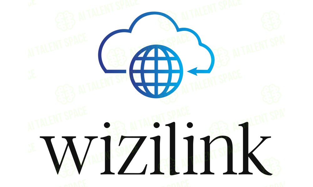 Wizilink - Image 3