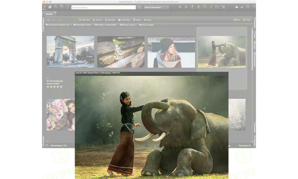 Evolphin - Image 1