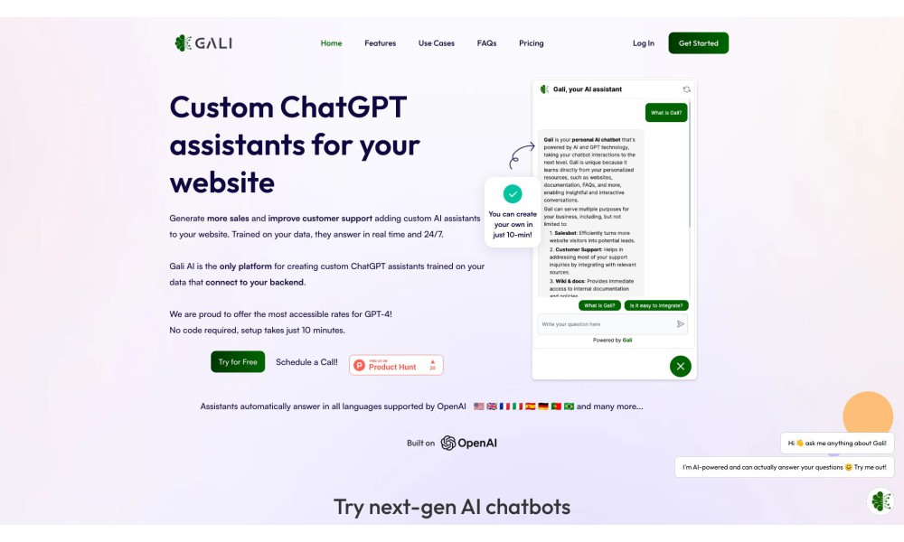 Gali - Custom AI chatbot